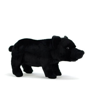 Midnight Black Pig Plush Toy